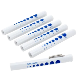 B001155.12/06 SW-PL01