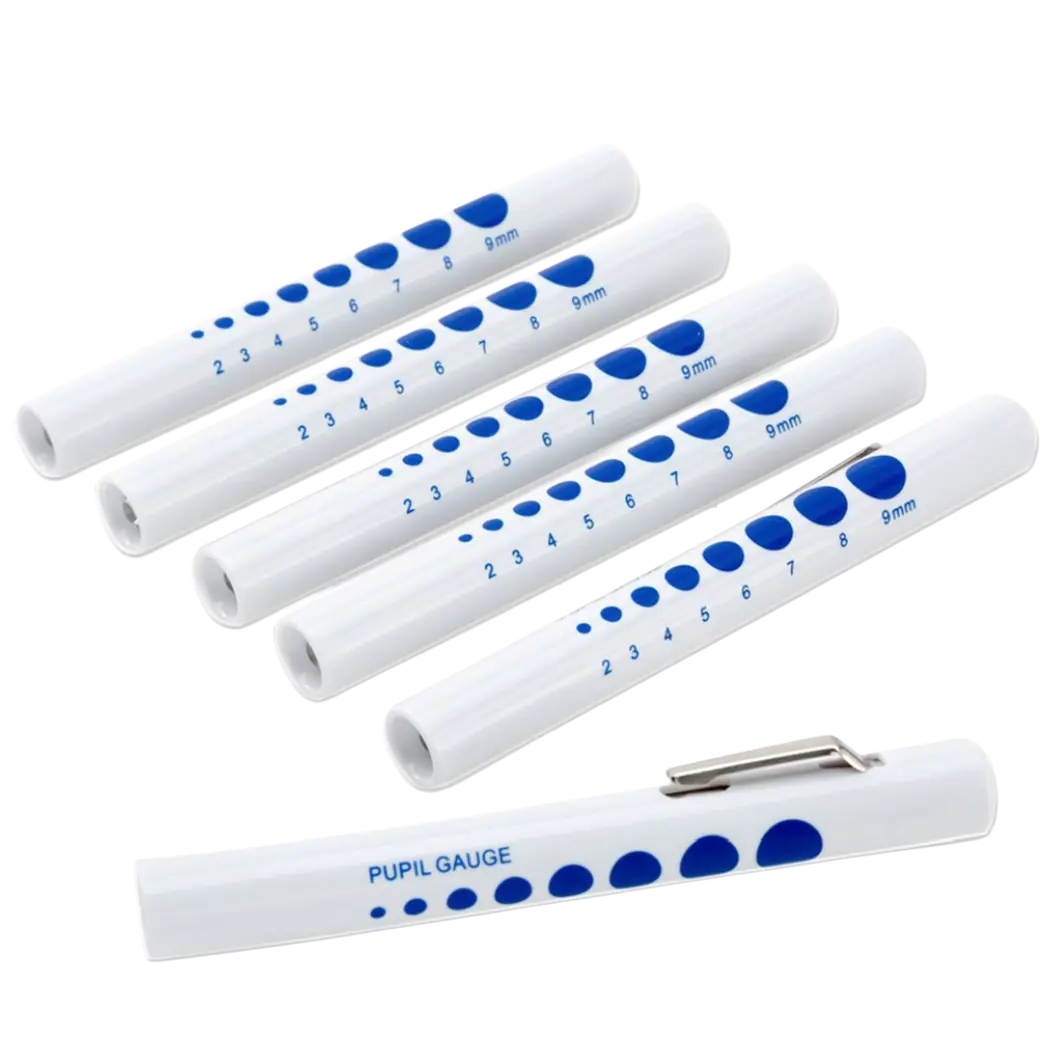 B001155.12/06 SW-PL01